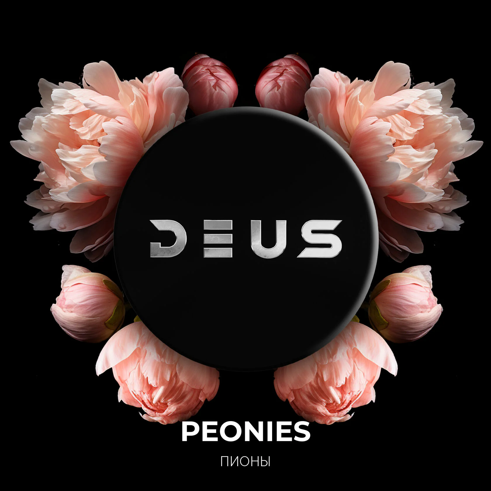 d182d0b0d0b1d0b0d0ba-deus-peonies-d0bfd0b8d0bed0bd-30d0b3d180.png